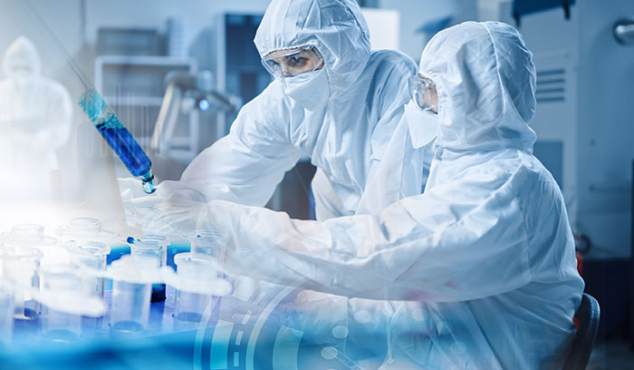 Solid Research and Development Capabilities